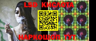 индика Рузаевка