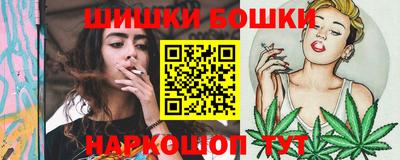 индика Рузаевка