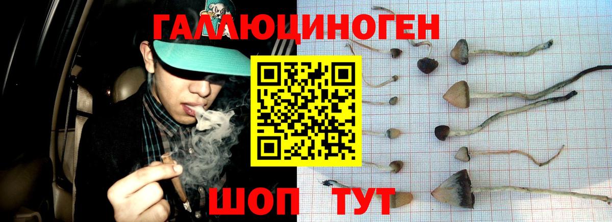 Галлюциногенные грибы мухоморы Сарапул