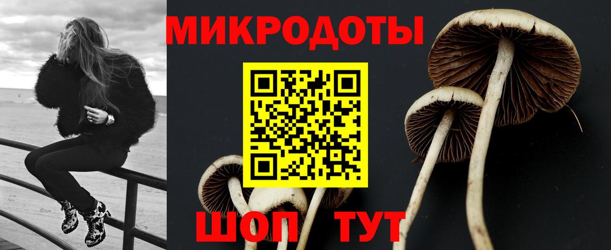 Сарапул  наркошоп  Вход с VPN  Галлюциногенные грибы Cubensis 