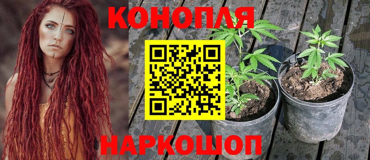 Каннабис конопля Сарапул